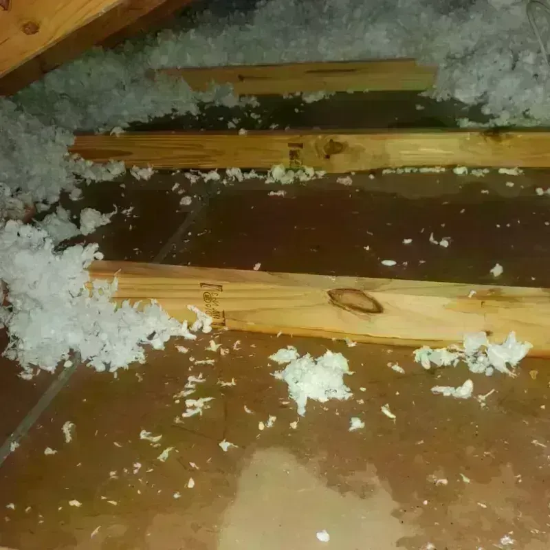 Attic Water Damage in Four Corners, MT